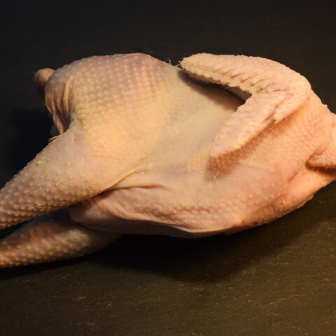 Bio Suppenhenne